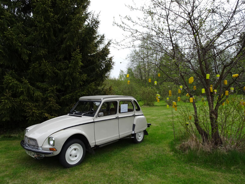 Ranskalainen visiitti