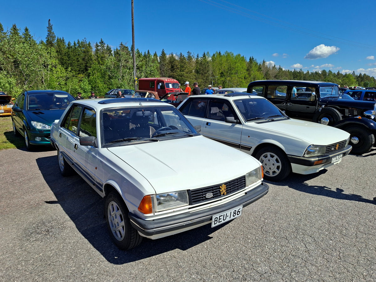 Ranskalainen visiitti